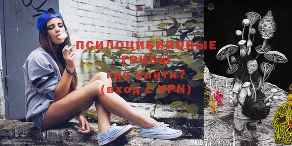твердый Бородино