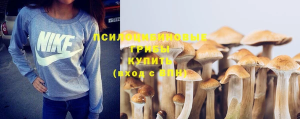мескалин Бугульма