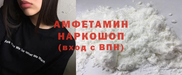 твердый Бородино