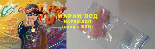 твердый Бородино
