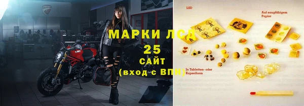 твердый Бородино