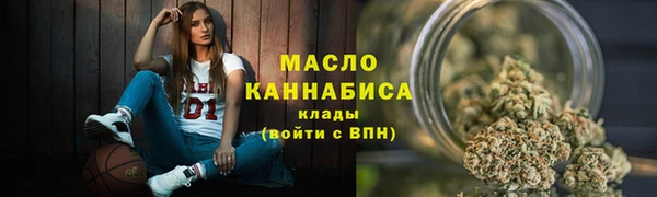 твердый Бородино
