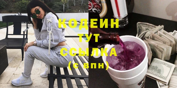 твердый Бородино