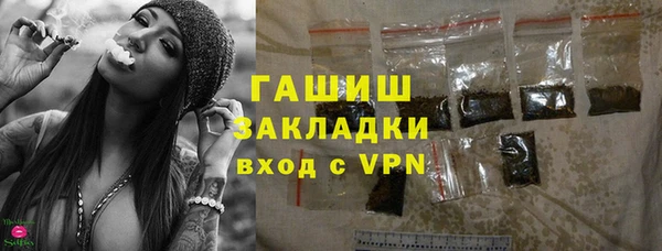 твердый Бородино